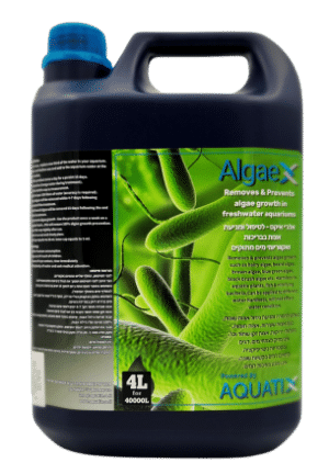 מחסל אצות 4000 מ"ל - ALGAE X
