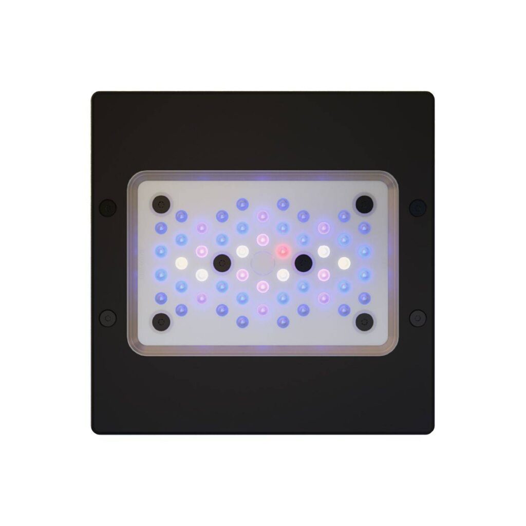 תאורת רדיון   XR15G6BLUE